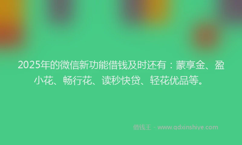 2025年的微信新功能借钱及时还有：蒙享金、盈小花、畅行花、读秒快贷、轻花优品等。
