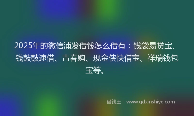 2025年的微信浦发借钱怎么借有：钱袋易贷宝、钱鼓鼓速借、青春购、现金侠快借宝、祥瑞钱包宝等。