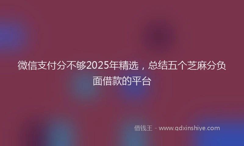 微信支付分不够2025年精选，总结五个芝麻分负面借款的平台
