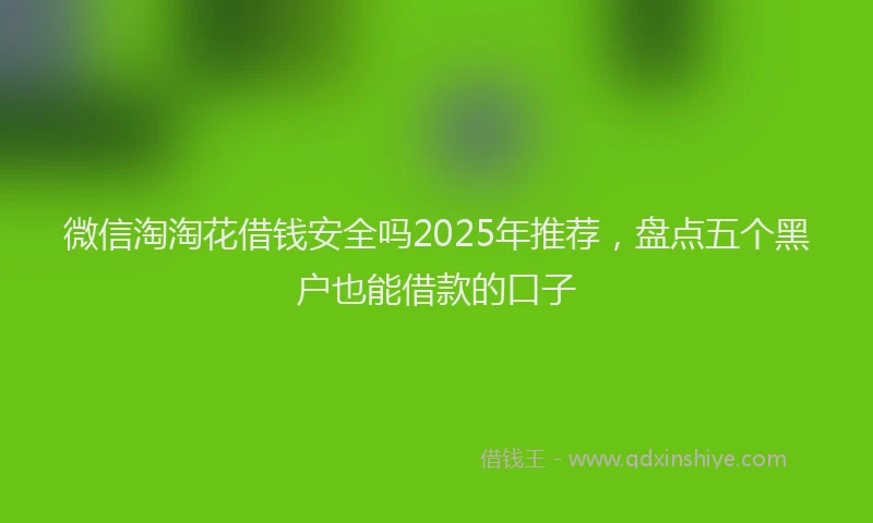 微信淘淘花借钱安全吗2025年推荐，盘点五个黑户也能借款的口子