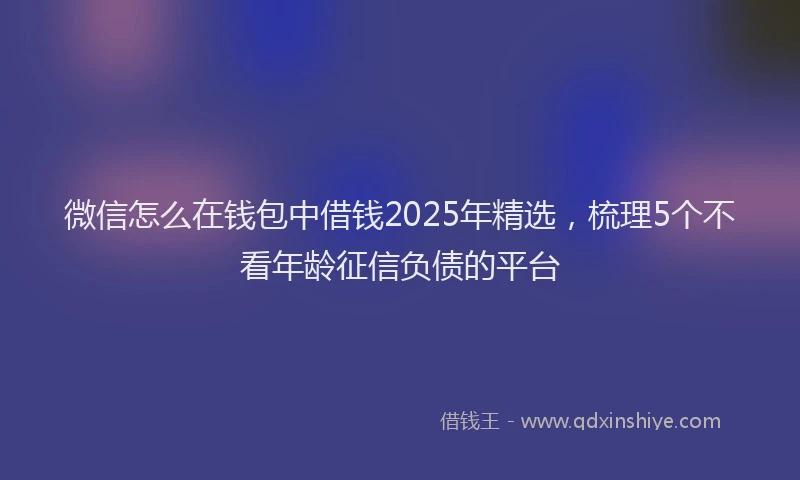 微信怎么在钱包中借钱2025年精选，梳理5个不看年龄征信负债的平台