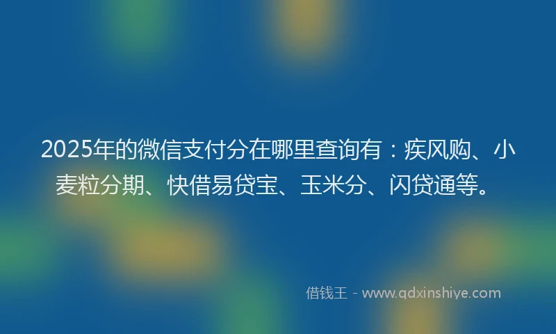 2025年的微信支付分在哪里查询有：疾风购、小麦粒分期、快借易贷宝、玉米分、闪贷通等。