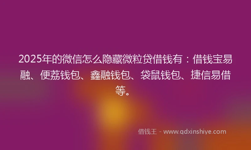 2025年的微信怎么隐藏微粒贷借钱有：借钱宝易融、便荔钱包、鑫融钱包、袋鼠钱包、捷信易借等。