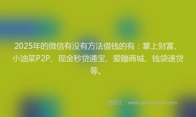 2025年的微信有没有方法借钱的有：掌上财富、小油菜P2P、现金秒贷通宝、爱蹦商城、钱袋速贷等。