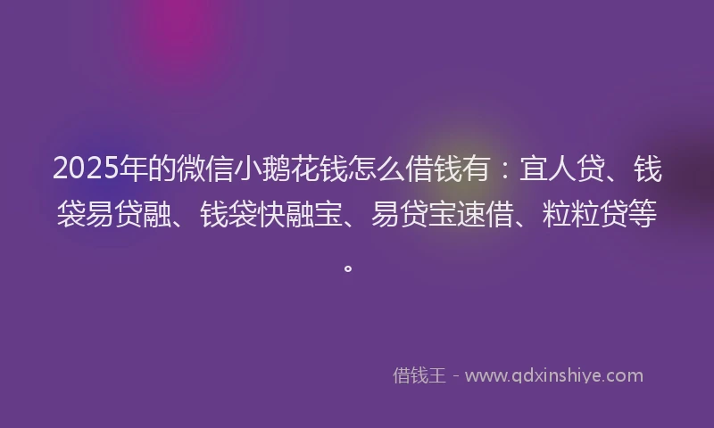 2025年的微信小鹅花钱怎么借钱有：宜人贷、钱袋易贷融、钱袋快融宝、易贷宝速借、粒粒贷等。
