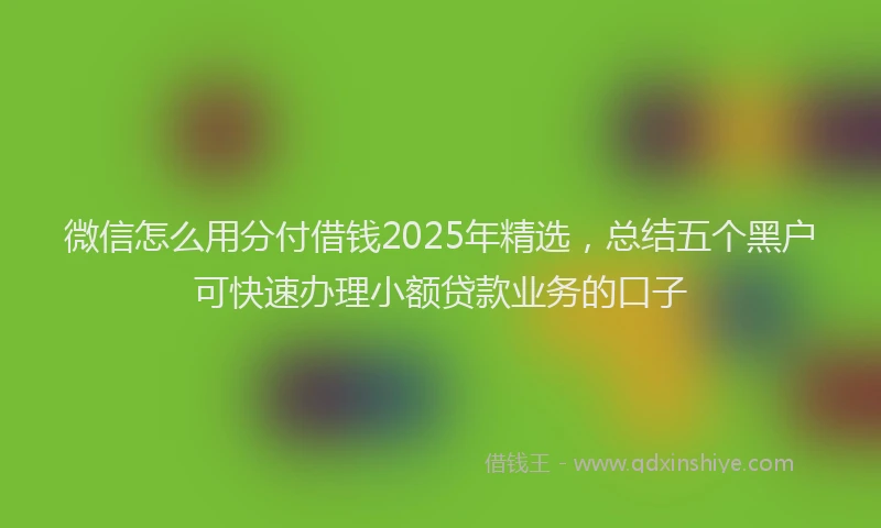 微信怎么用分付借钱2025年精选，总结五个黑户可快速办理小额贷款业务的口子