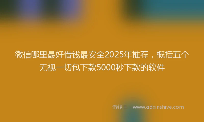 微信哪里最好借钱最安全2025年推荐，概括五个无视一切包下款5000秒下款的软件