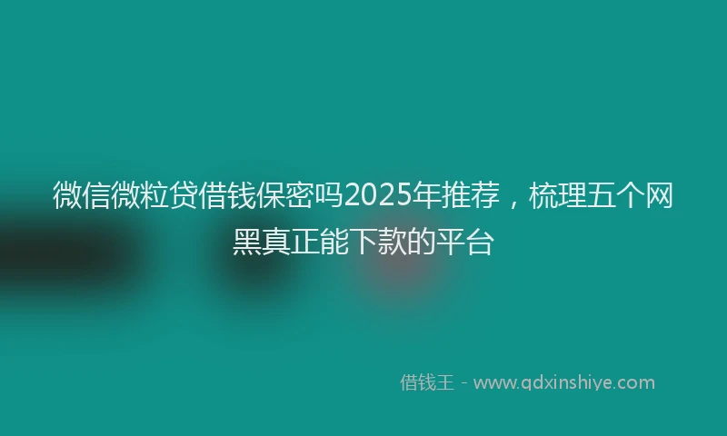 微信微粒贷借钱保密吗2025年推荐，梳理五个网黑真正能下款的平台