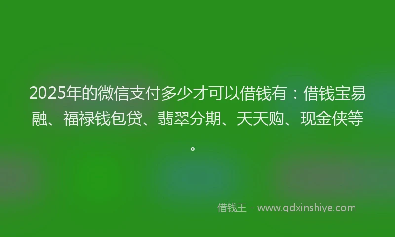 2025年的微信支付多少才可以借钱有：借钱宝易融、福禄钱包贷、翡翠分期、天天购、现金侠等。