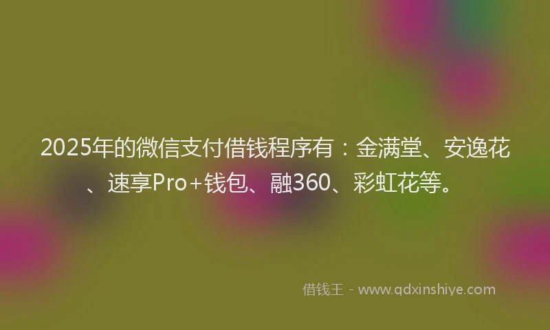 2025年的微信支付借钱程序有：金满堂、安逸花、速享Pro+钱包、融360、彩虹花等。