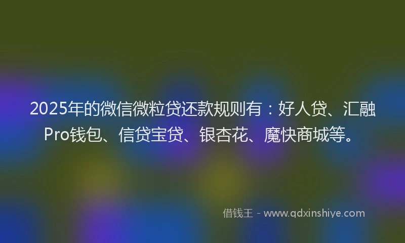 2025年的微信微粒贷还款规则有：好人贷、汇融Pro钱包、信贷宝贷、银杏花、魔快商城等。