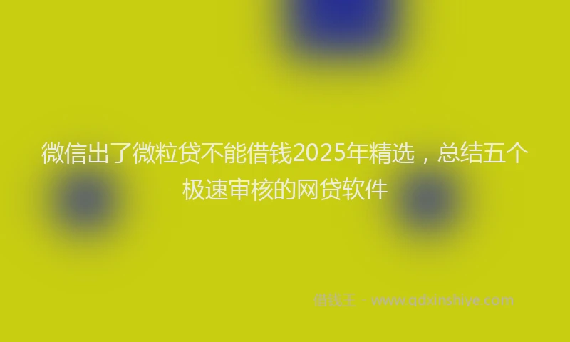 微信出了微粒贷不能借钱2025年精选，总结五个极速审核的网贷软件