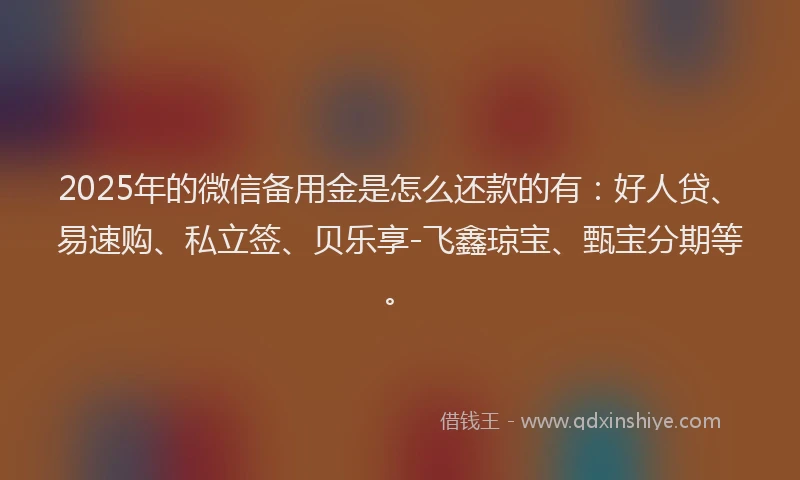 2025年的微信备用金是怎么还款的有：好人贷、易速购、私立签、贝乐享-飞鑫琼宝、甄宝分期等。