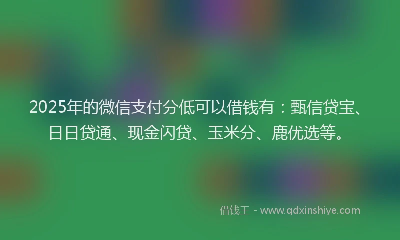 2025年的微信支付分低可以借钱有：甄信贷宝、日日贷通、现金闪贷、玉米分、鹿优选等。