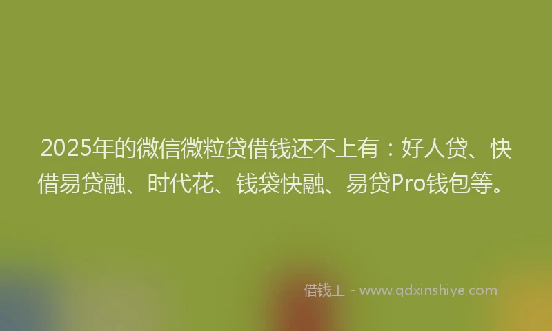 2025年的微信微粒贷借钱还不上有：好人贷、快借易贷融、时代花、钱袋快融、易贷Pro钱包等。