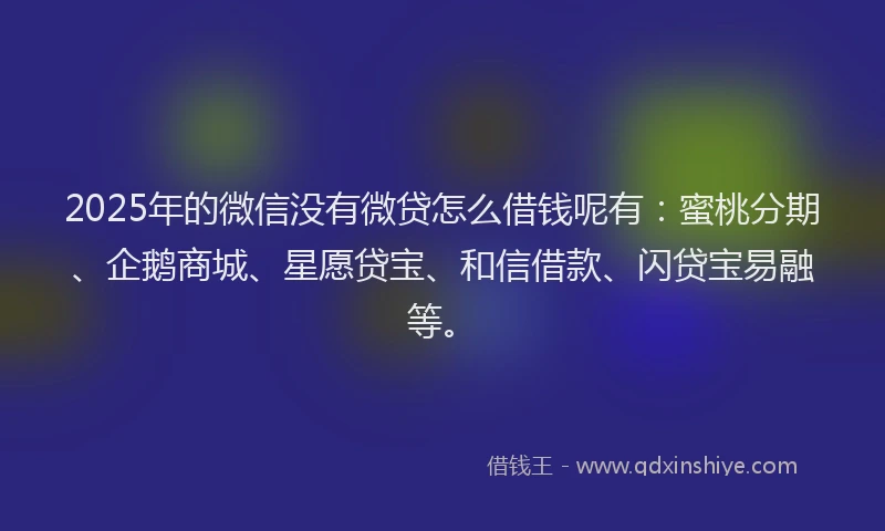 2025年的微信没有微贷怎么借钱呢有：蜜桃分期、企鹅商城、星愿贷宝、和信借款、闪贷宝易融等。