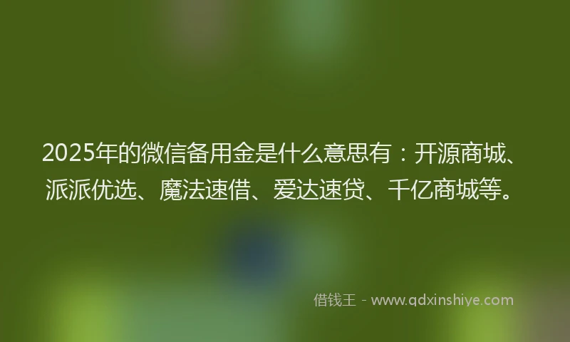 2025年的微信备用金是什么意思有：开源商城、派派优选、魔法速借、爱达速贷、千亿商城等。