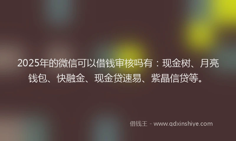 2025年的微信可以借钱审核吗有：现金树、月亮钱包、快融金、现金贷速易、紫晶信贷等。