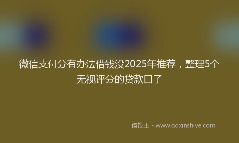 微信支付分有办法借钱没2025年推荐，整理5个无视评分的贷款口子