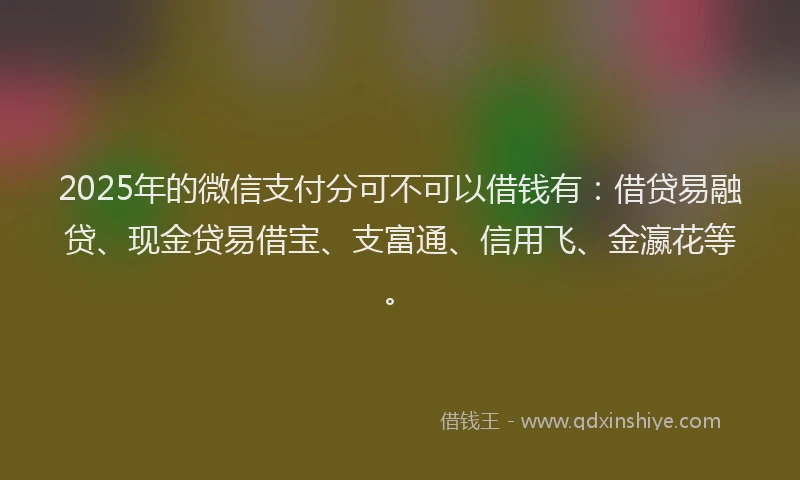 2025年的微信支付分可不可以借钱有：借贷易融贷、现金贷易借宝、支富通、信用飞、金瀛花等。