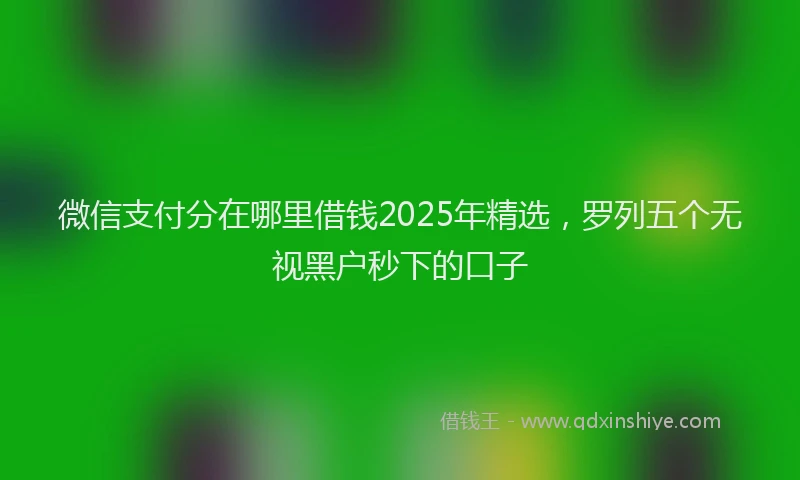 微信支付分在哪里借钱2025年精选，罗列五个无视黑户秒下的口子