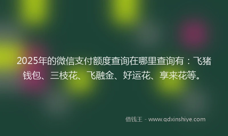 2025年的微信支付额度查询在哪里查询有：飞猪钱包、三枝花、飞融金、好运花、享来花等。