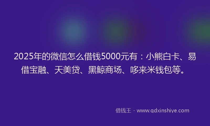 2025年的微信怎么借钱5000元有：小熊白卡、易借宝融、天美贷、黑鲸商场、哆来米钱包等。