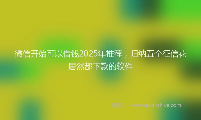 微信开始可以借钱2025年推荐，归纳五个征信花居然都下款的软件