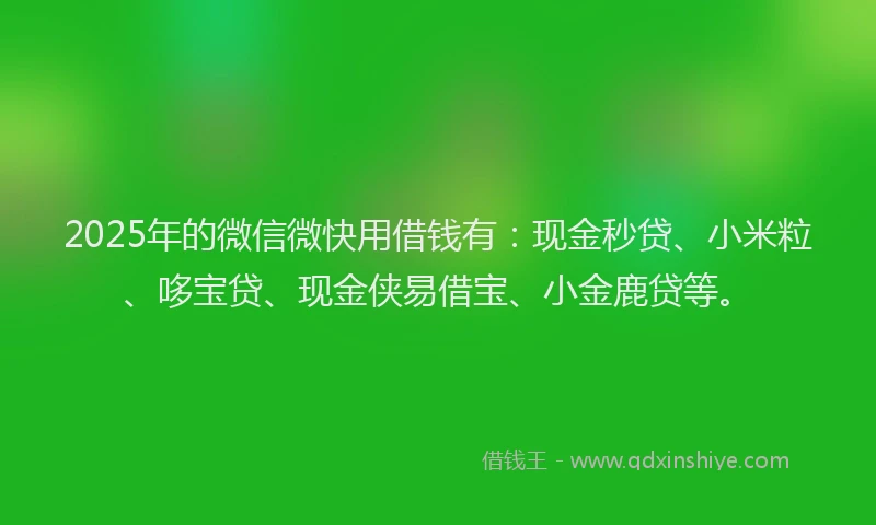 2025年的微信微快用借钱有：现金秒贷、小米粒、哆宝贷、现金侠易借宝、小金鹿贷等。
