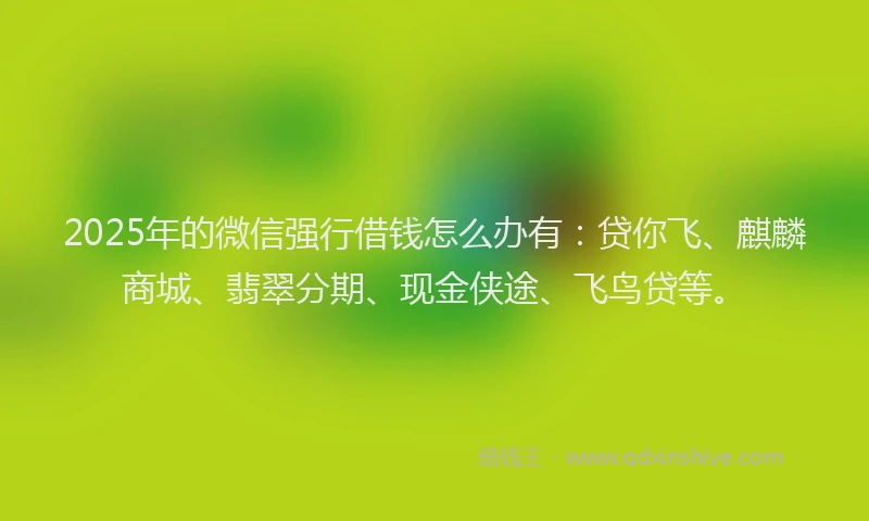 2025年的微信强行借钱怎么办有：贷你飞、麒麟商城、翡翠分期、现金侠途、飞鸟贷等。