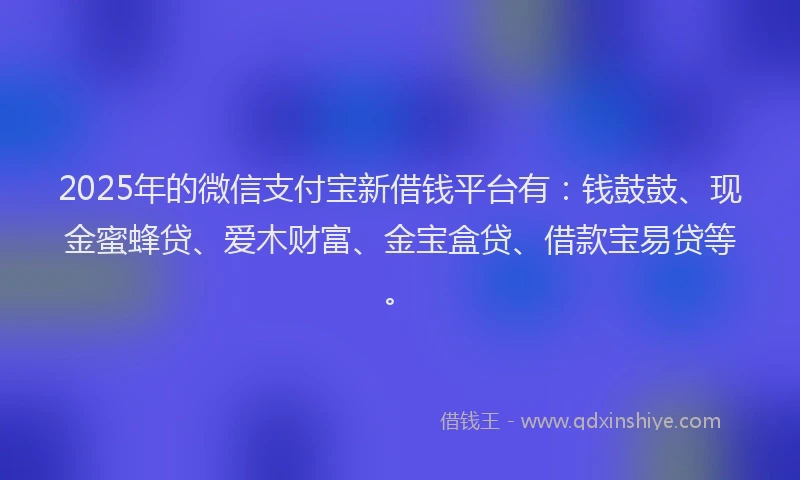 2025年的微信支付宝新借钱平台有：钱鼓鼓、现金蜜蜂贷、爱木财富、金宝盒贷、借款宝易贷等。