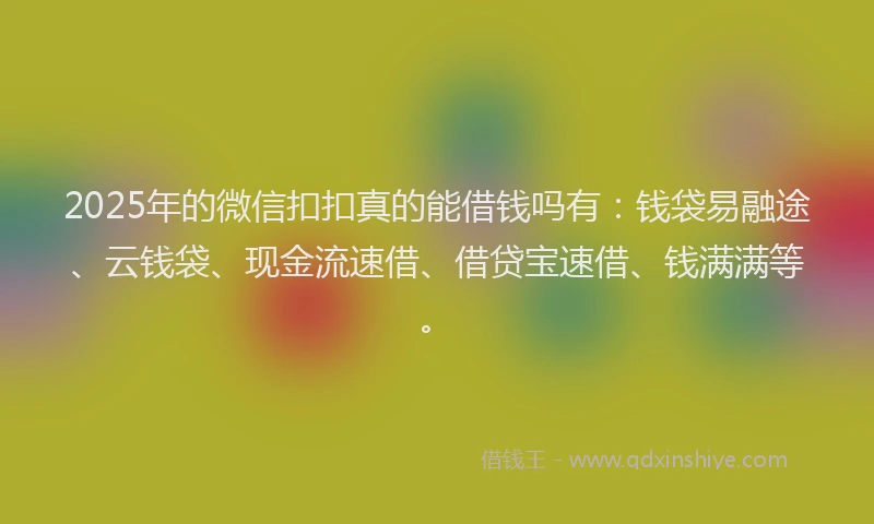 2025年的微信扣扣真的能借钱吗有：钱袋易融途、云钱袋、现金流速借、借贷宝速借、钱满满等。