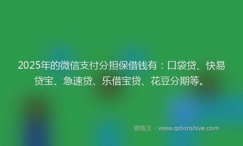 2025年的微信支付分担保借钱有：口袋贷、快易贷宝、急速贷、乐借宝贷、花豆分期等。