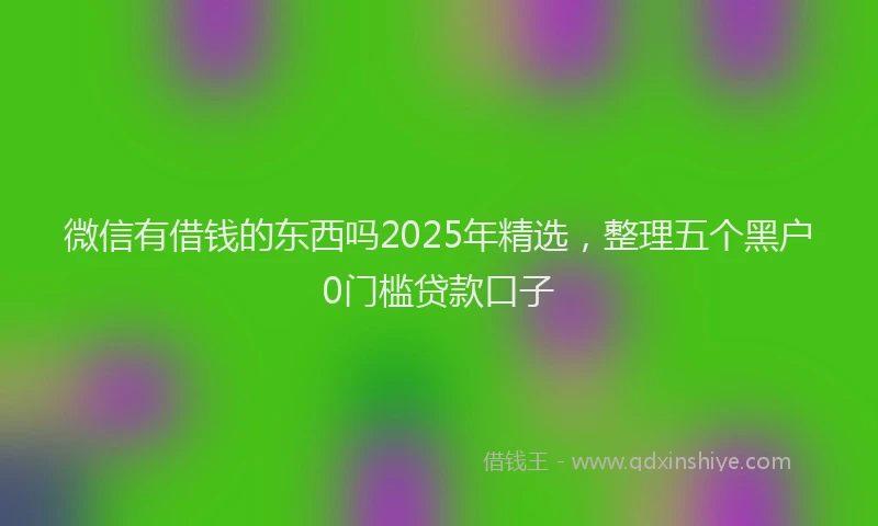 微信有借钱的东西吗2025年精选，整理五个黑户0门槛贷款口子