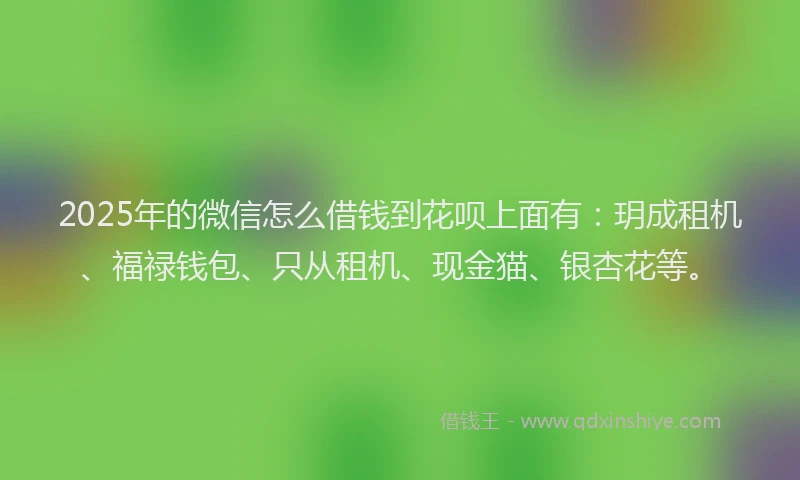 2025年的微信怎么借钱到花呗上面有：玥成租机、福禄钱包、只从租机、现金猫、银杏花等。