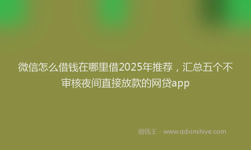 微信怎么借钱在哪里借2025年推荐，汇总五个不审核夜间直接放款的网贷app