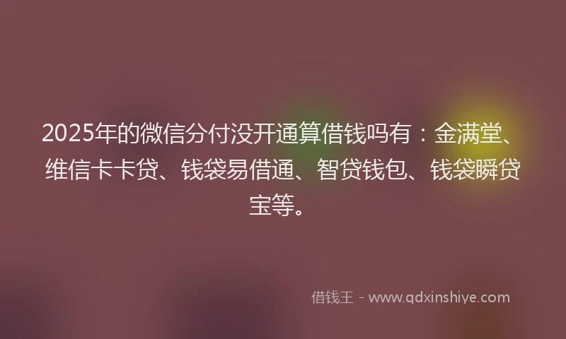2025年的微信分付没开通算借钱吗有：金满堂、维信卡卡贷、钱袋易借通、智贷钱包、钱袋瞬贷宝等。
