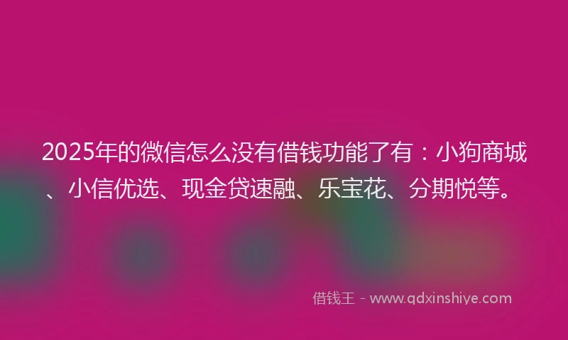 2025年的微信怎么没有借钱功能了有：小狗商城、小信优选、现金贷速融、乐宝花、分期悦等。