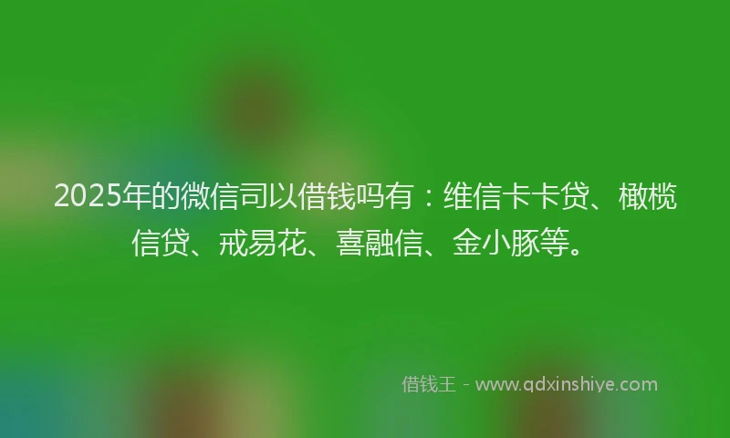 2025年的微信司以借钱吗有：维信卡卡贷、橄榄信贷、戒易花、喜融信、金小豚等。