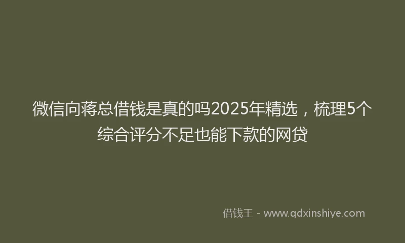微信向蒋总借钱是真的吗2025年精选，梳理5个综合评分不足也能下款的网贷