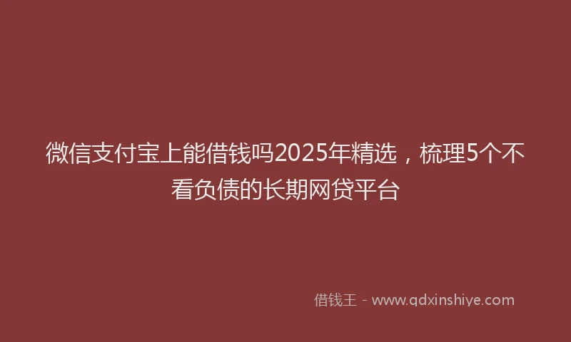微信支付宝上能借钱吗2025年精选，梳理5个不看负债的长期网贷平台