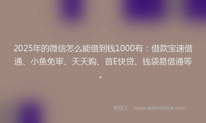2025年的微信怎么能借到钱1000有：借款宝速借通、小鱼免审、天天购、首E快贷、钱袋易借通等。