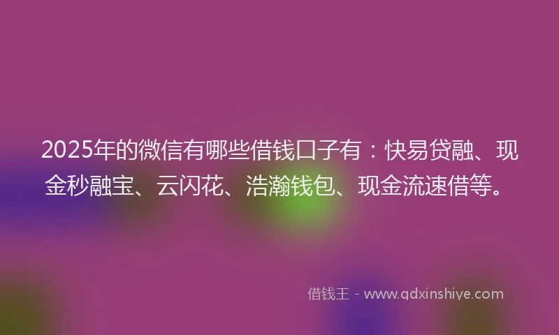 2025年的微信有哪些借钱口子有：快易贷融、现金秒融宝、云闪花、浩瀚钱包、现金流速借等。