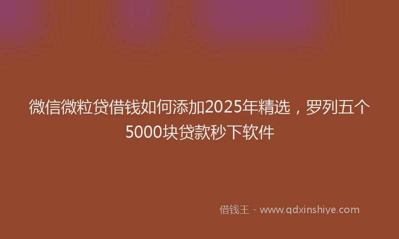 微信微粒贷借钱如何添加2025年精选，罗列五个5000块贷款秒下软件