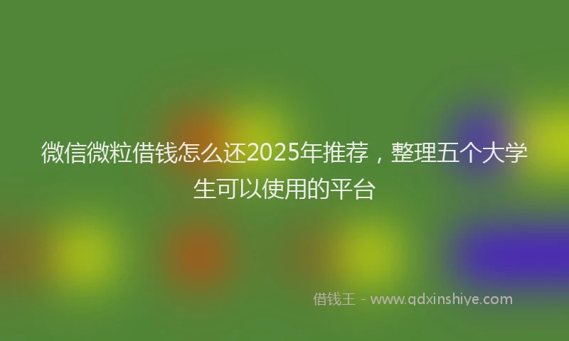 微信微粒借钱怎么还2025年推荐，整理五个大学生可以使用的平台