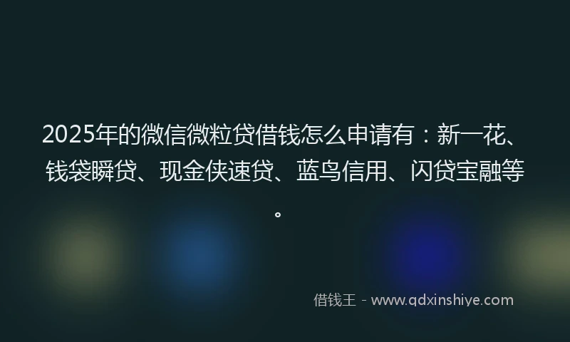 2025年的微信微粒贷借钱怎么申请有：新一花、钱袋瞬贷、现金侠速贷、蓝鸟信用、闪贷宝融等。