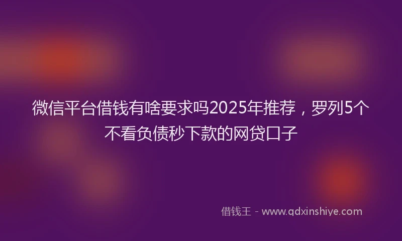 微信平台借钱有啥要求吗2025年推荐，罗列5个不看负债秒下款的网贷口子