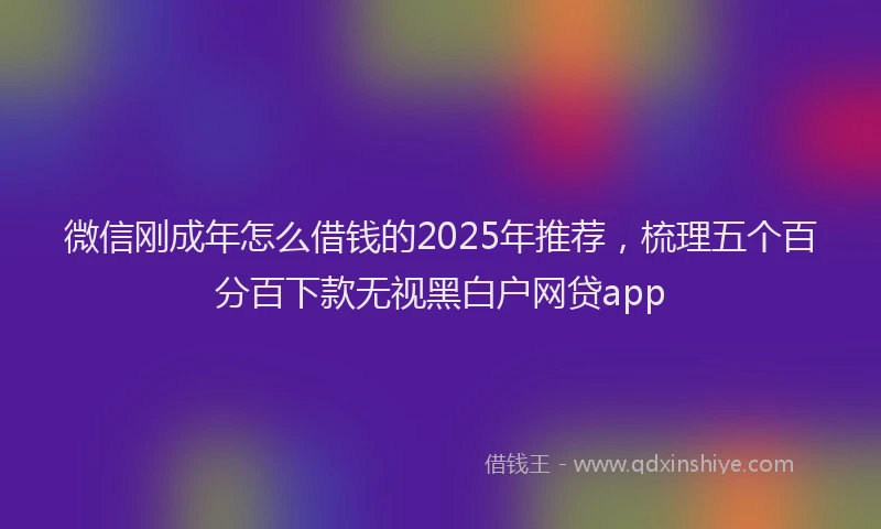 微信刚成年怎么借钱的2025年推荐，梳理五个百分百下款无视黑白户网贷app