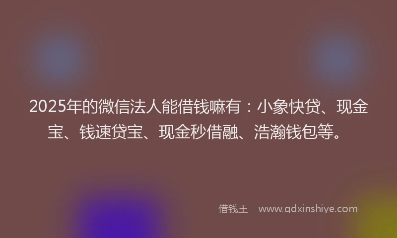 2025年的微信法人能借钱嘛有：小象快贷、现金宝、钱速贷宝、现金秒借融、浩瀚钱包等。