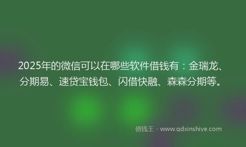 2025年的微信可以在哪些软件借钱有：金瑞龙、分期易、速贷宝钱包、闪借快融、森森分期等。